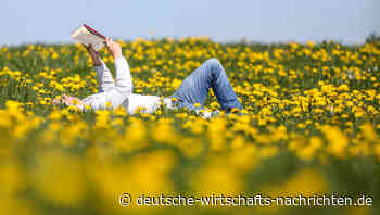 Ernst Wolff: "Friedrichs Traum von der Freiheit"