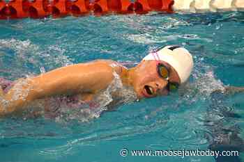 Flying Fins continue to show improvement, pick up medals in Saskatoon - Moose Jaw Today