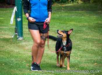 Pendle residents urged to have their say on dog poo protection orders for parks