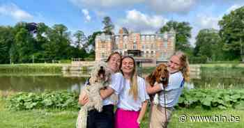KdG-studenten transformeren Brasschaats Gemeentepark tot hondenparadijs vol entertainment - Het Laatste Nieuws