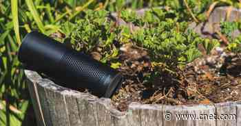 How Your Amazon Echo Speaker Can Be the Best Garden Assistant     - CNET