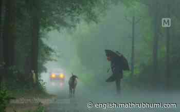 Kerala Rain: Avoid unnecessary travel to hilly areas, stay vigilant, says state government - Mathrubhumi English