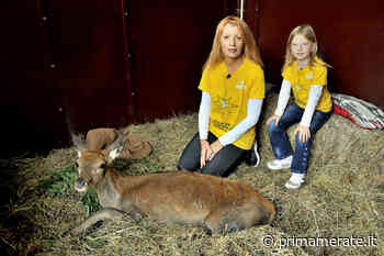 Al Cras Stella del Nord parte il corso per volontari - Prima Merate