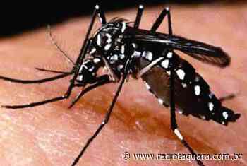 Igrejinha recebe confirmação do quinto óbito por dengue - Rádio Taquara