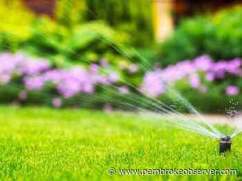 Pembroke's watering restrictions in effect May 15 to September 15 - Pembroke Observer