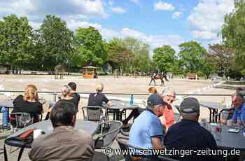 Turnier des Reitervereins Eppelheim mit über 300 Pferden - Eppelheim - Nachrichten und Informationen - Schwetzinger Zeitung