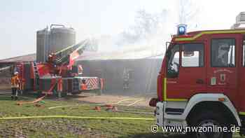 Brand in Schweinestall in Garrel: Hunderte Schweine verenden im Feuer - Nordwest-Zeitung