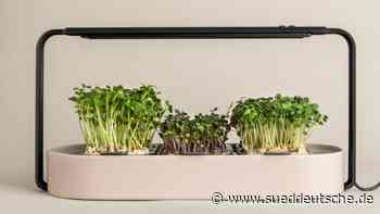 Mode: Caspar David Friedrich auf der Jacke und vegane Trauben-Schuhe - Süddeutsche Zeitung - SZ.de