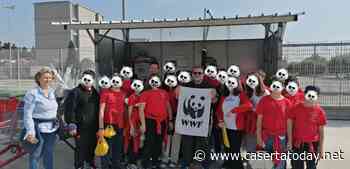 San Nicola La Strada, WWF in azione con gli studenti dell' I.C. Capol DD - Caserta Today