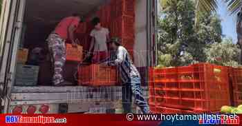 Libres de Mosca del Mediterráneo más de 32 mil hectáreas de cultivos en Colima - Hoy Tamaulipas