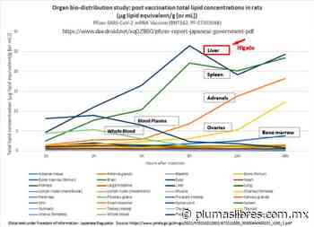 Hepatitis fulminante infantil: ¿Una consecuencia de las inyecciones K0 B1T? - plumas libres