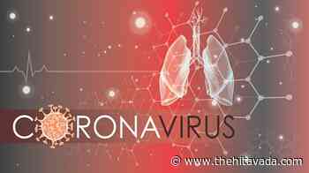 Year 2022 sees dip in new cases, deaths due to coronavirus - The Hitavada