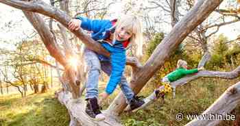 Aartselaar bevraagt verenigingen en ouders over vrijetijdsaanbod voor jeugd - Het Laatste Nieuws
