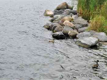 City Council accepts new 12-year Climate Change Action Plan - Leduc Representative