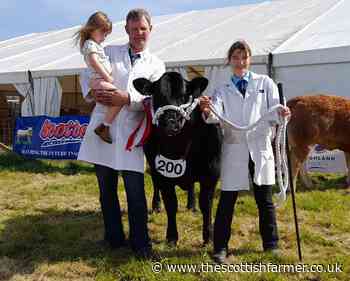 Stewart and Lynsey Bett win supreme at busy Ayr Show with Sexy Spice - The Scottish Farmer