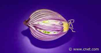 No Tears, No Mess: How to Cut an Onion Without Crying     - CNET