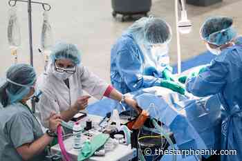 Veterinarians, volunteers see hundreds of animals at La Ronge clinic - Saskatoon Star-Phoenix