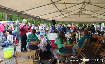 ▷ Viele Besucher beim Waldfest - Eppingen.org