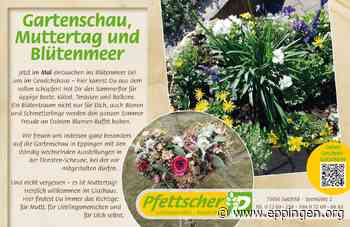 ▷ Gartenschau, Muttertag und Blütenmeer - Eppingen.org