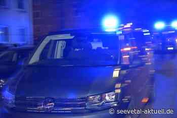 War es Mord? Frauenleiche im Wald bei Stelle gefunden - seevetal-aktuell.de