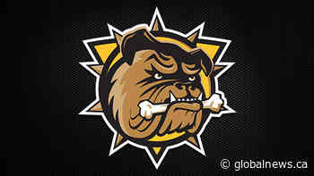 Hamilton Bulldogs complete sweep of Steelheads - Global News
