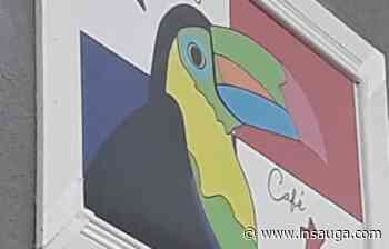 'Tropical vibes only' promised at downtown Hamilton café opening on Saturday | inTheHammer - insauga.com