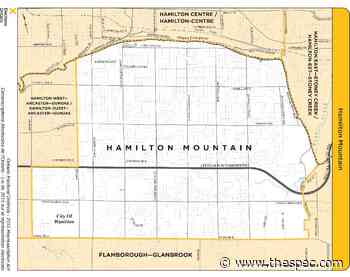 Who is running in Hamilton Mountain for the 2022 provincial election? - Hamilton Spectator