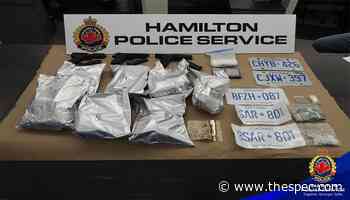 Probe into stolen car leads Hamilton police to seize $1.5M worth of cocaine - Hamilton Spectator