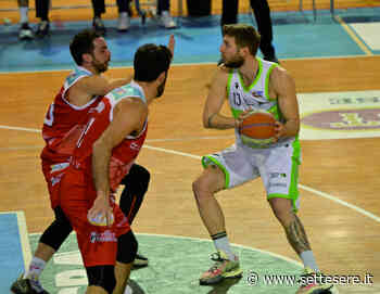 Basket B, Petrucci e i playoff a cuor leggero: «Faenza non avrà pressioni, Ruvo sì» - Settesere