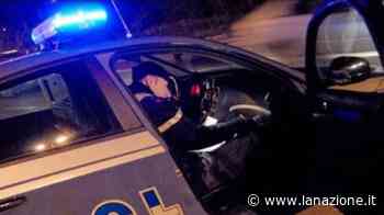 Prato, sente dei rumori in casa e sorprende i ladri: minacciato con un punteruolo - LA NAZIONE