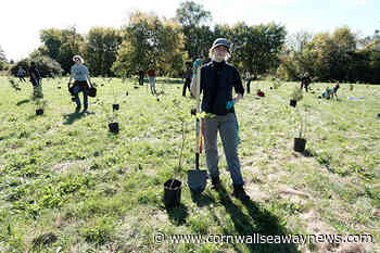 City of Cornwall and RRCA Invite Community to Help Plant 350 Trees - Cornwall Seaway News