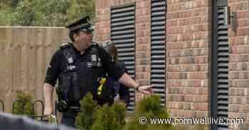 Man who attacked woman outside school among those sentenced in court - Cornwall Live