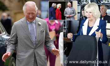 The Prince of Wales and Duchess of Cornwall meet children outside Canada House - Daily Mail