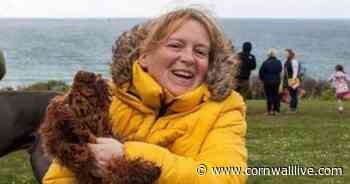 Hundreds of damaged puppies in Cornwall due to Covid puppy farms - Cornwall Live