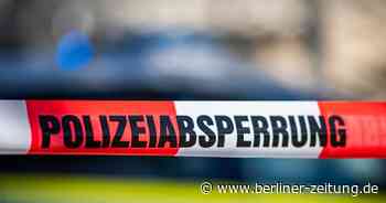 Leiche in Brandenburger Waldstück gefunden – Polizei sucht Zeugen - Berliner Zeitung