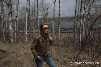 Solar farm sparks conservation battle in Edmonton’s river valley - The Narwhal