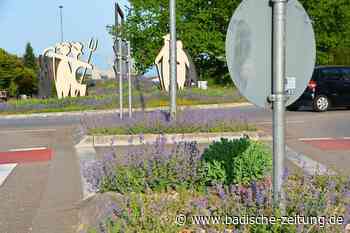 Warum Grundstückseigentümer in diesem Jahr zwei Steuererklärungen abgeben müssen - Emmendingen - Badische Zeitung
