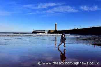 Scarborough's North Bay and Whitby beaches earn Blue Flag awards - and see which beaches won a Seaside Award - The Scarborough News