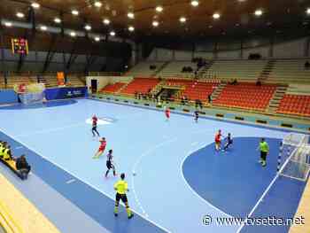 CALCIO A 5. FORTITUDO POMEZIA-BENEVENTO 7-1. ADDIO PLAY OFF A/2 - TV Sette Benevento