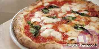 SORA - PER FRATELLI D'ITALIA PIZZA... E PIZZE! - ioWebbo