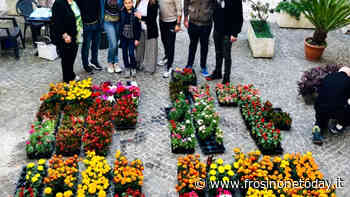 Sora, premiato il vincitore dell’iniziativa “Balconi e Vicoli in Fiore 2022” - FrosinoneToday