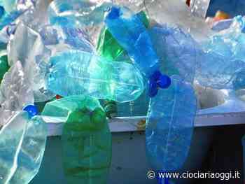 Eco-borracce in dono agli alunni per dire no alla plastica - ciociariaoggi.it