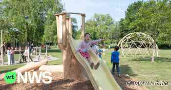 Grote boom die in Kruisem sneuvelde tijdens storm in februari wordt speeltuig voor kinderen - VRT NWS