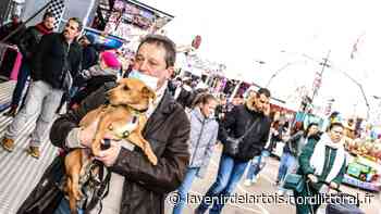 Arras: Après la foire, on fait quoi de l'esplanade du Val de Scarpe? - Nord Littoral