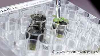 Scientists Grow Plants in Lunar Dirt, Next Stop Moon - Manufacturing.net