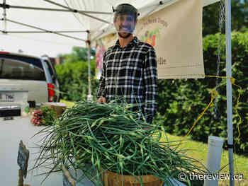 Vankleek Hill Farmers' Market returns to 79 Derby Avenue for 2022 outdoor season - The Review Newspaper