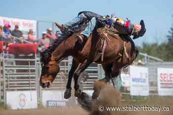St. Albert Rainmaker rebrands, drops 'rodeo' from name - St. Albert TODAY