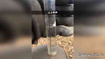 Up to 85 mm of rain hitting communities in southeastern Sask.