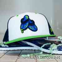 Durham Bulls to play as Shower Shoes on Bull Durham Night - SportsLogos.Net News