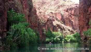 Man wrestles free from croc in Qld park - Western Advocate